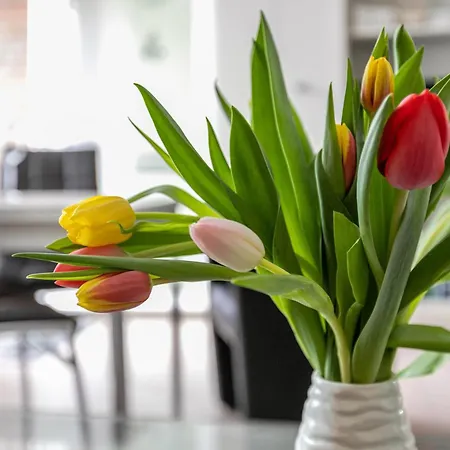 Apartment Lage - An Der Lagune